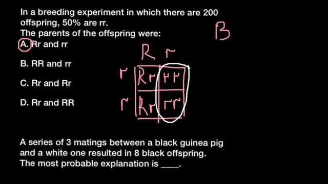 Simple Mendelian genetics problems смотреть онлайн