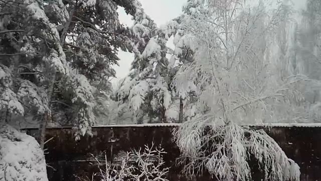Snow (slow motion 120fps) xiaomi redmi note 2 смотреть онлайн