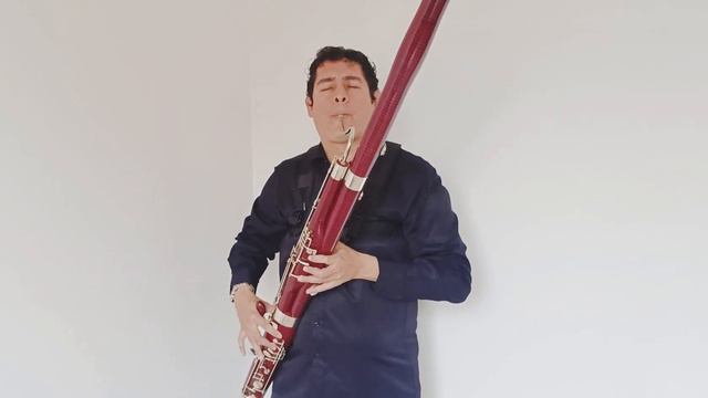 Concerto in C major RV471, I Mov - Vivaldi. Fagot: Vladimir Suárez смотреть онлайн