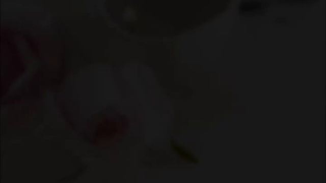 Розы дамасские смотреть онлайн