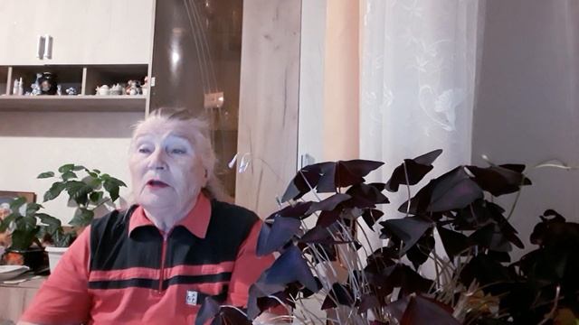 " ПРОКАЗЫ БАННИКА " и " ПРО БАНЮ " Реальные истории смотреть онлайн