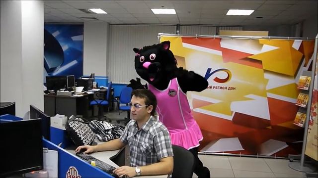 Донна на Южном регионе смотреть онлайн