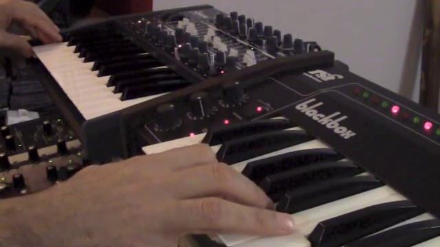 Arturia Minibrute + RSF Blackbox смотреть онлайн