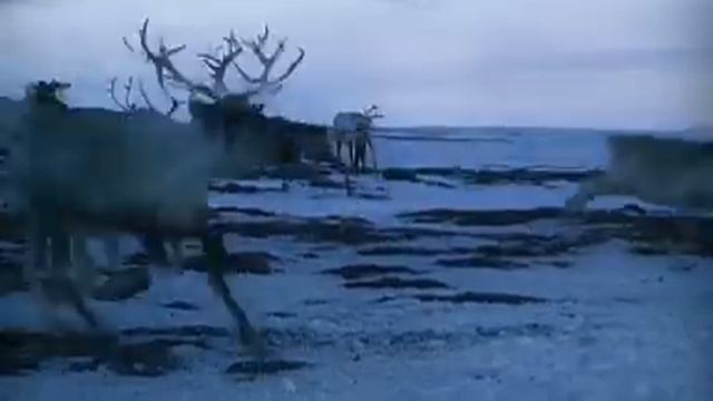 About Disappearing World project (Об Исчезающем мире) смотреть онлайн