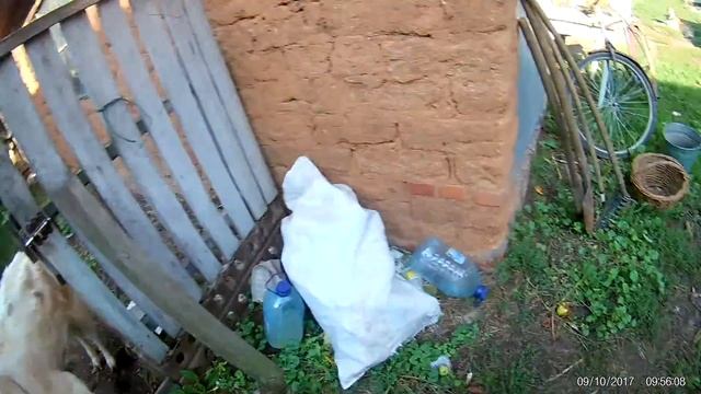 Разговор с козами на английском)) смотреть онлайн