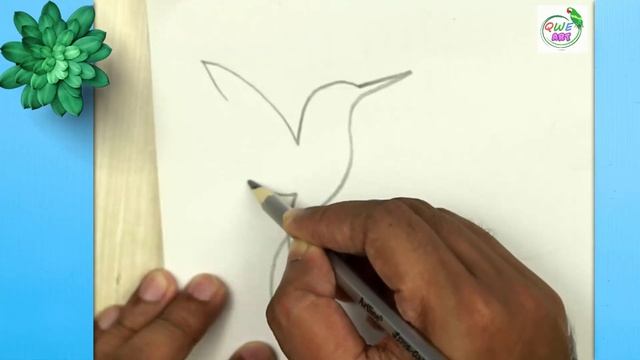 6 Most Easy Bird Drawing! Amazing Easy Bird Drawing Tutorial