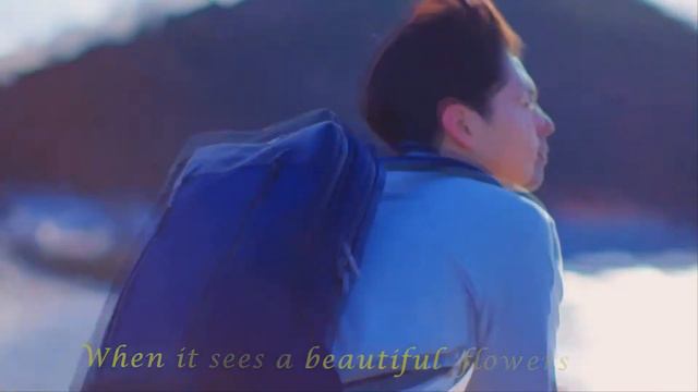 Anemone Park Bo Gum Version :))) смотреть онлайн