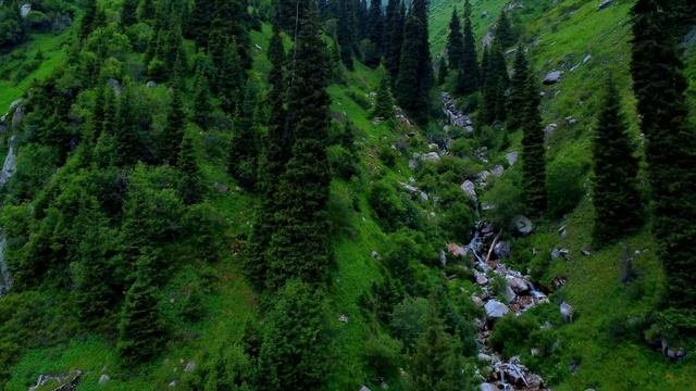 Fascinating mountains views Cinematic Drone 4k video Kazakhstan Almaty 08.07.22 Part V смотреть онлайн