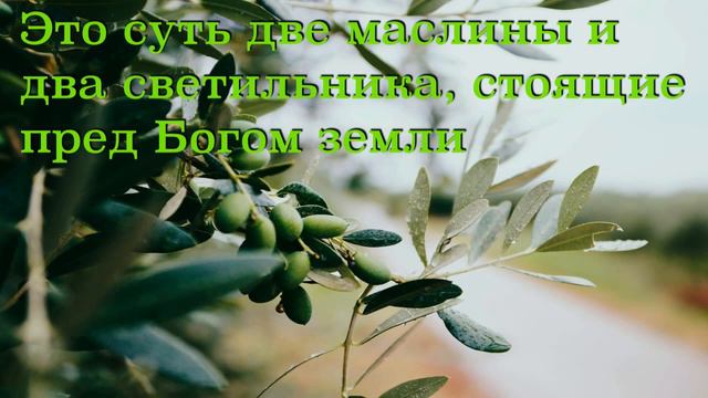 Книга Откровение Иоанна 11 глава. Это суть две маслины и два светильника, стоящие пред Богом земли. смотреть онлайн