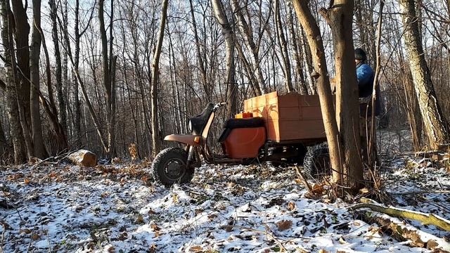 Дачные будни. Муравей в деле. смотреть онлайн