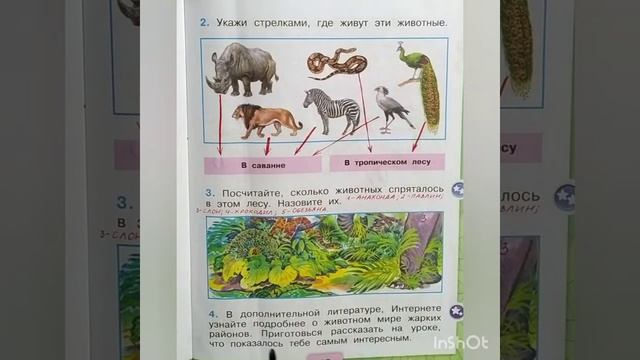 1 класс. ГДЗ. Окружающий мир. Рабочая тетрадь.Часть 2 Страницы 10-11. С комментированием. смотреть онлайн