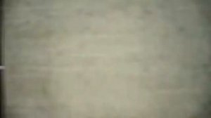 Helene Fischer   Atemlos durch die Nacht