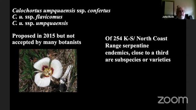 Love Where You Live Series: Serpentines Surprising Sidetrips with John Roth смотреть онлайн