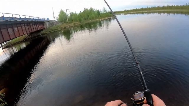 ОГРОМНАЯ ЩУКА СЛОМАЛА СПИННИНГ.Tict 74 b4... Ломаный злой коротыш смотреть онлайн