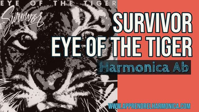 Eye of the tiger - Survivor - Harmonica Ab смотреть онлайн