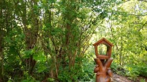 Санаторий Колос (Костромская область)