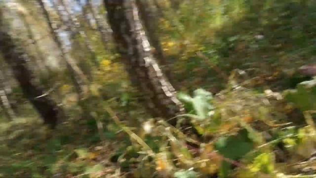 ЗАБРОШЕННАЯ ФЕРМА НА КРАЮ ЛЕСА! ПОИСК МЕТАЛЛА И НЕ ТОЛЬКО! Коп металлолома! смотреть онлайн