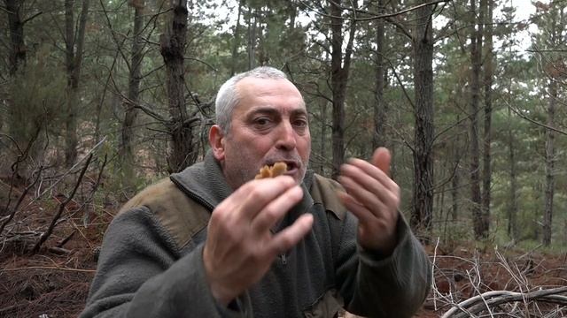 Craterellus tubaeformis - Angula de monte смотреть онлайн