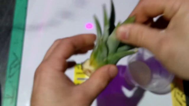 У нас Ананас!) смотреть онлайн