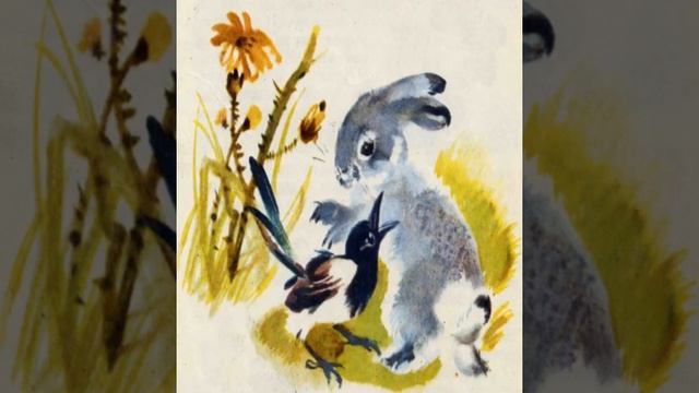 СОРОЧЬИ ТАРАТОРКИ - ИЮНЬ