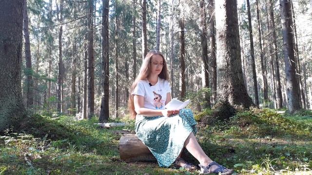 Диктант по русскому языку 3 класс «Вечером в лесу» смотреть онлайн