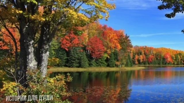 Зачем родителям усыновлять мальчика, для дочери было загадкой.... смотреть онлайн