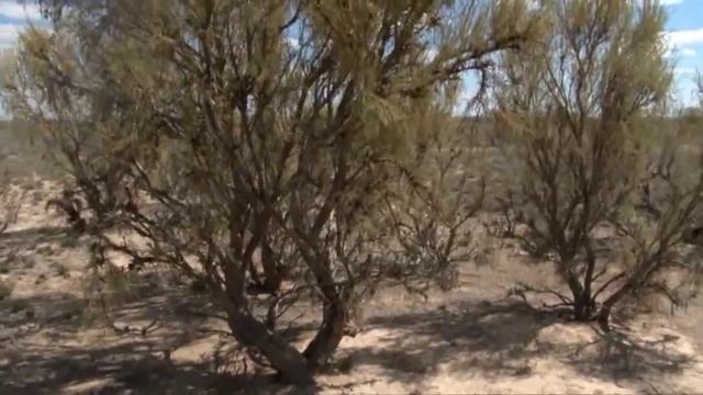 DISCOVERING KAZAKHSTAN — Выпуск № 3