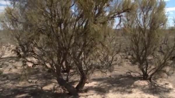 DISCOVERING KAZAKHSTAN — Выпуск № 3