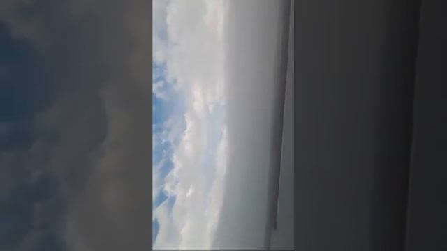 Чемодан Гризли в Н.Новгороде смотреть онлайн