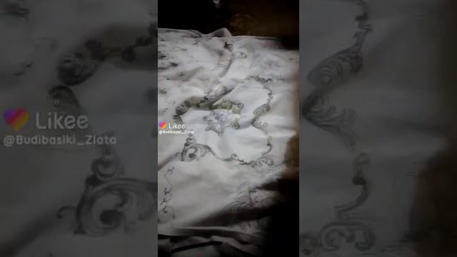 туда-сюда! смотреть онлайн