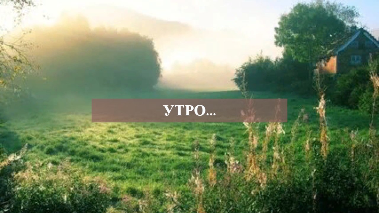 УТРО....mp4 смотреть онлайн