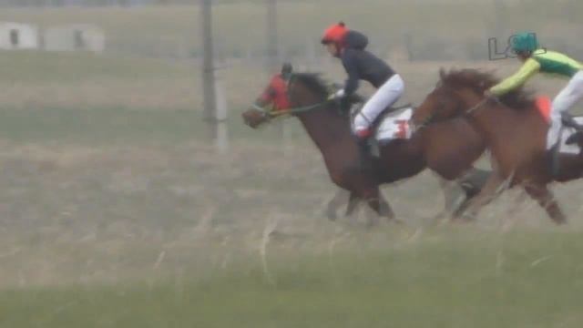 Скачка Райкова 2016 (Лошади-Horse–Animal-racing-конь-смотреть-онлайн-скачки) смотреть онлайн