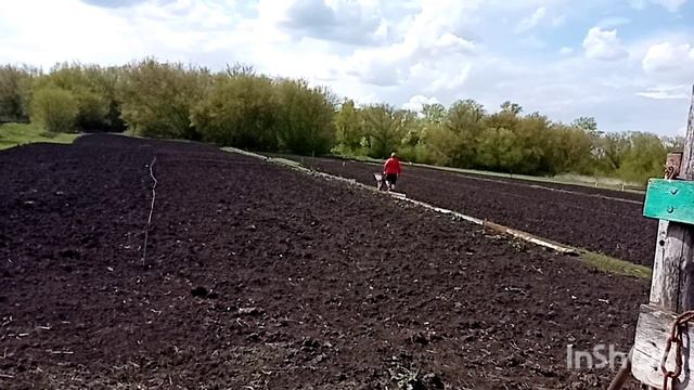 Как живут в русской деревне. Возил землю для кашпо/дружок нервничает/вкусняшка... смотреть онлайн