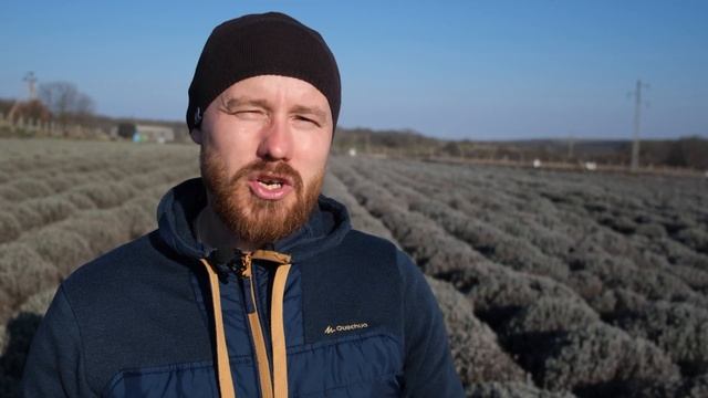 Игровой Мир