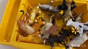 Животные игрушки. animals toys.