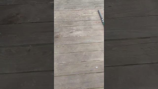 идём на женскую рыбалку смотреть онлайн