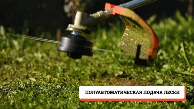 DSC 1526 22.mp4 смотреть онлайн
