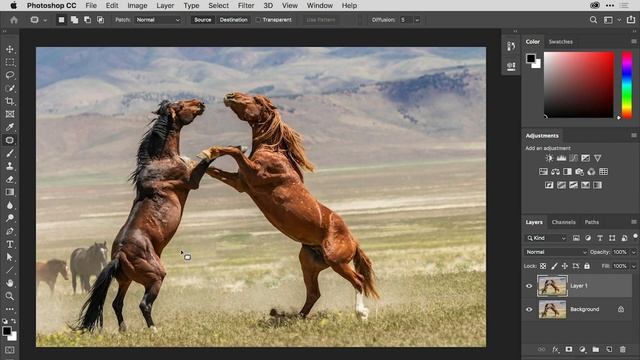 Hide Unwanted Content With The Patch Tool In Photoshop