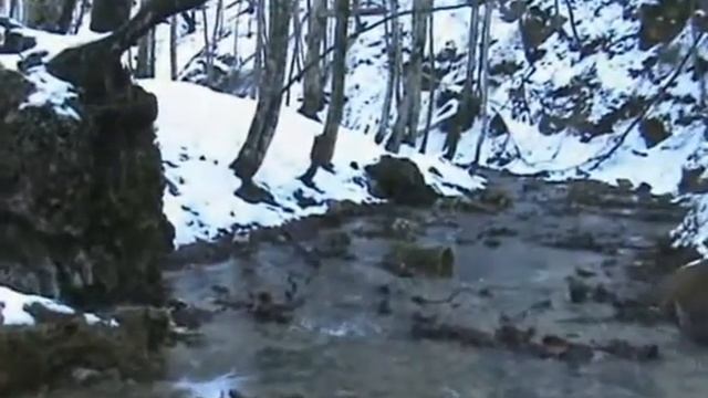 Серебряные струи.avi смотреть онлайн