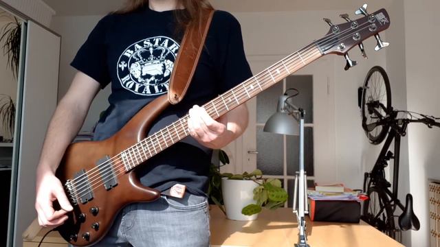 IBANEZ SRC6 WNF 30" baritone guitar / short scale bass 6-string DRONE - DOOM Test SOUND TONE Demo смотреть онлайн