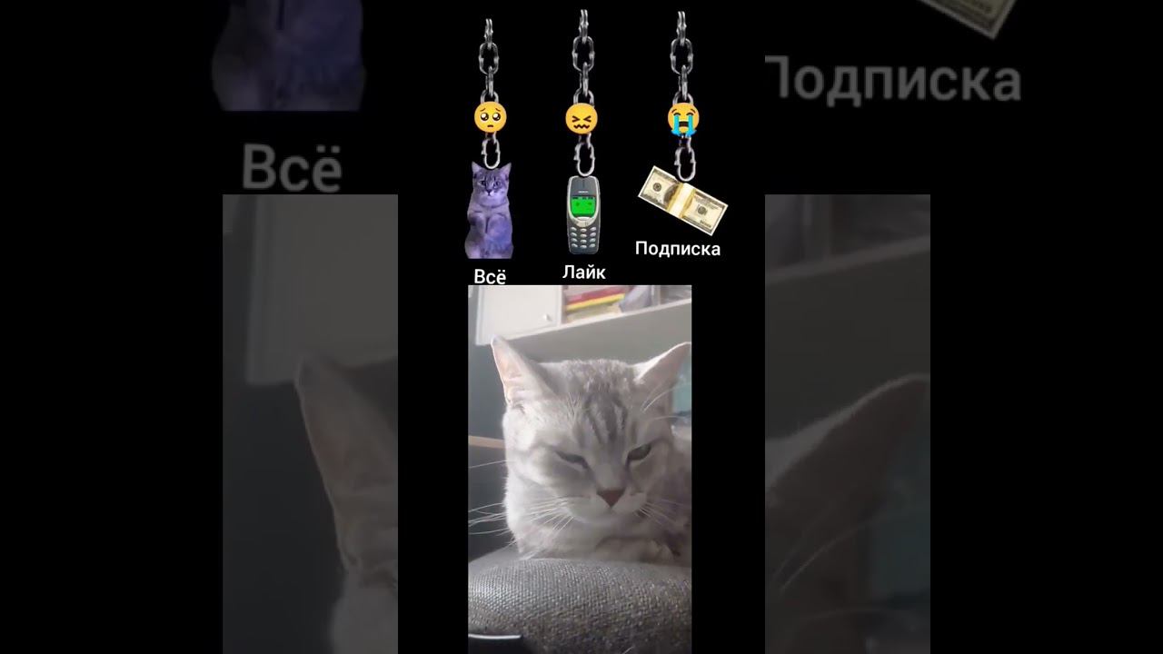 #shorts #sounds #recommended #4k #4kvideo #беззвука #интересно #2024 #нг #имялуна #games #proof смотреть онлайн