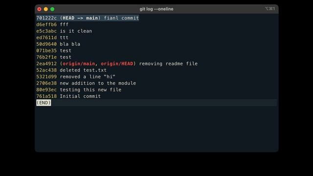 Git shortlog and restore with checkout | Urdu смотреть онлайн