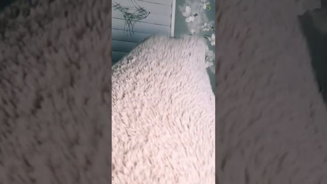 Я, когда дома и нет. Причёска решает многое. смотреть онлайн