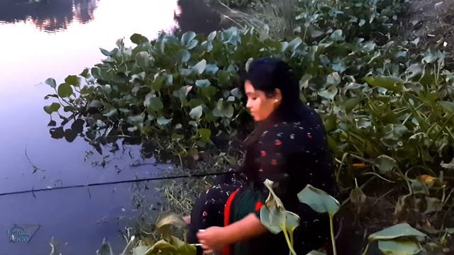 Village Girl Fishing With Hook || Рыбалка Видео|| Best Hook Fishing Video. смотреть онлайн