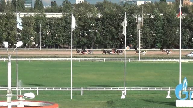 Московский ипподром. Бега. 27.08.17. Заезд 3(495). ПРИЗ ГОРОДА ОСИННИКИ смотреть онлайн