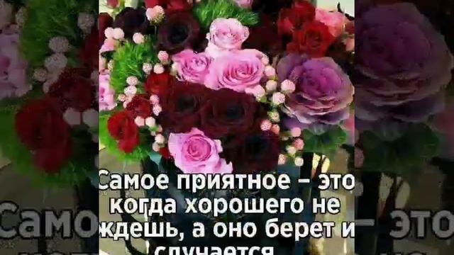Анвар Ахмедов смотреть онлайн