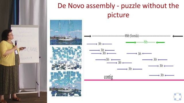 Введение в биоинформатику — Алла Лапидус смотреть онлайн