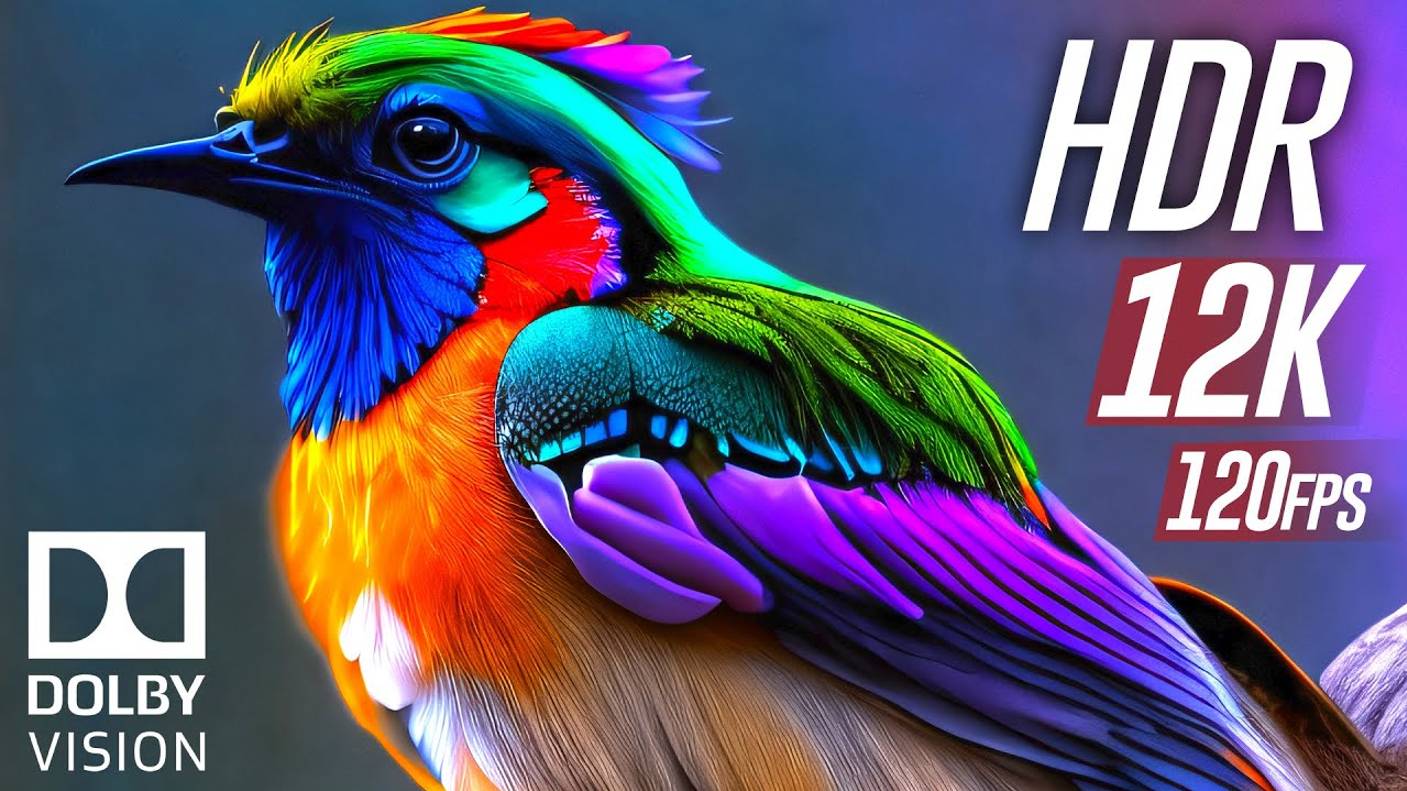 Цвета в Dolby Vision HDR 12K 120fps