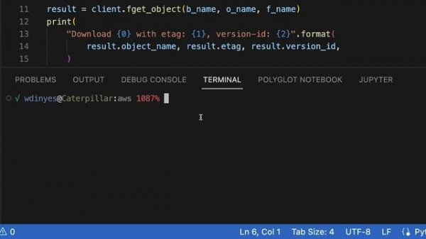 How To Download A File From MinIO Using Python