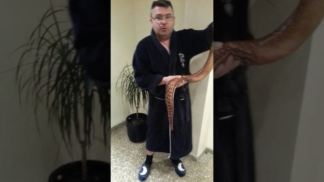 Рыбалка в Испании.Случйно пойманная мурена. смотреть онлайн